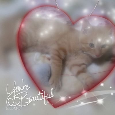 パチスロ大好き♪でちゃう大好き♪にゃんこ大好き♪2匹のママです(^o^)マンガ大好♪気軽に絡んでくれると嬉しい~(笑)忙しくてコメ少なめですが許してね┏○ペコッ
