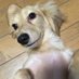 りんご/医学部編入/地方医大生 (@ai46867821) Twitter profile photo りんご/医学部編入/地方医大生 (@ai46867821) Twitter profile photo
