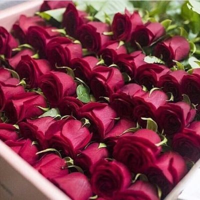 · أروع القلوب قلب يخشى الله و أجمل الكلام ذكر الله و أنقى الحب في الله.❤️