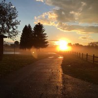 Todd Bourcy (@tbourcy) 's Twitter Profile