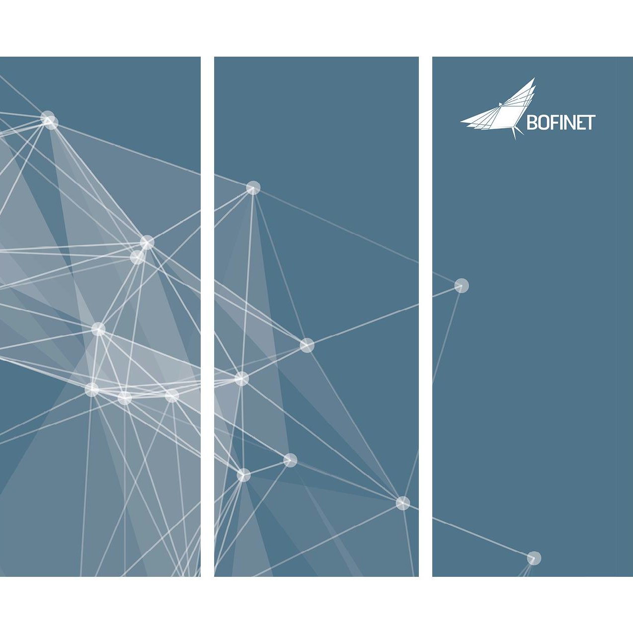 bofinet's profile picture. Botswana Fibre Networks (BoFiNet) is a wholesale provider of internet and telecommunications infrastructure that is 100% owned by the Government of Botswana