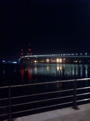 traivlis's profile picture. 