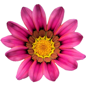 WMBGFloral's profile picture. 