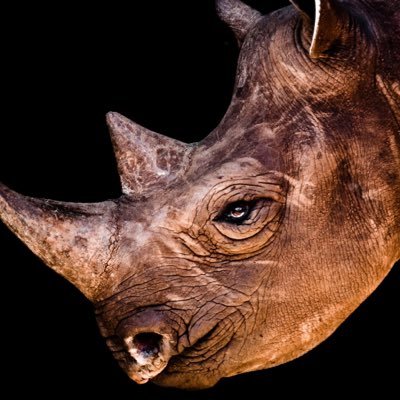 iMillerYT's profile picture. Freelancer