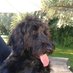 Niall O Regan (@oreganniall1) Twitter profile photo Niall O Regan (@oreganniall1) Twitter profile photo