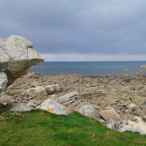 veroGentyane's profile picture. 