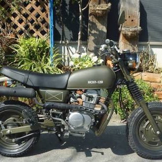 anzaitv's profile picture. エイプすきよんみに好き