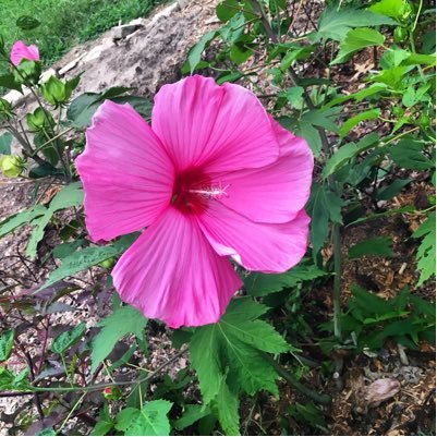 Historic Bartlett Arboretum | A Sunday drive for the soul just 20 miles south of Wichita. Inquiries: info@bartlettarboretum.com Instagram: thebartlettarboretum