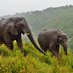 Garden Route Tours (@gardenroutetour) Twitter profile photo Garden Route Tours (@gardenroutetour) Twitter profile photo