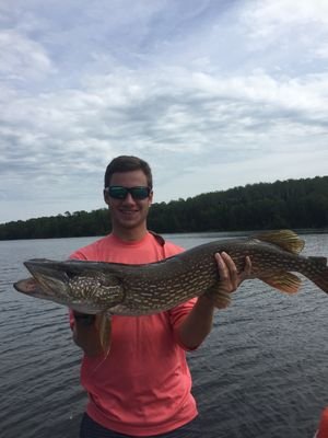 daniel_seit15's profile picture. Mccracken County Class of 2015, Transylvania University Baseball