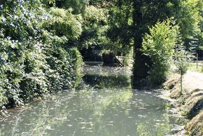 lezay79's profile picture. Culture Musées & monuments Presse culturelle Photographie Rock Presse musicale Basket Sports Pop Basket Sports olympiques Sondeurs & think tanks