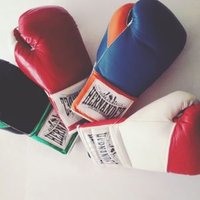 guantes de box Hdz(@champshdz) 's Twitter Profile Photo