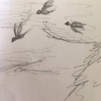 Lori Kubik (@lorikubik) 's Twitter Profile