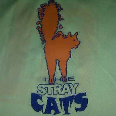 StrayCats_Meow's profile picture. Meow Meow Bitches. It's not just a team, it's a lifestyle. Now somebody put on Shout.