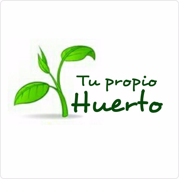 Decora tu hogar con Huertos y terrarios. Ideal para regalar o regalárse! Aromas, colores y sabores increíbles!!