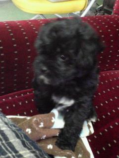 ysk103's profile picture. 和歌山市在住。