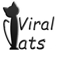 Aiming to entertain cat lovers all around the world!
Fb: https://t.co/cVTxQorDe9
IG: https://t.co/G37TtEv5dQ
Website: https://t.co/LmojaNaq3u
DM us for credit/removal