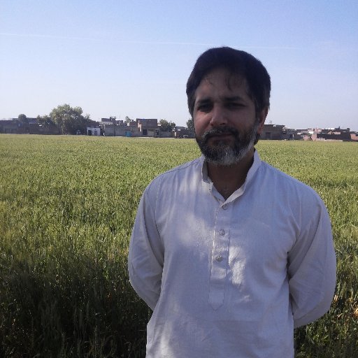 Zoomnaved's profile picture. 