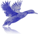 Open Source Testing projects:
Blueduck SDA ( http://t.co/Zl4X4iO0q2 )
Feel free to contribute!