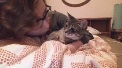 catvellis's profile picture. 