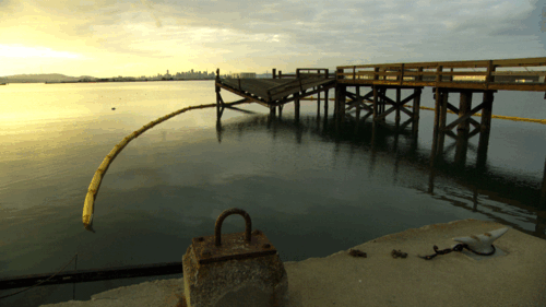 Our mission is to bring the City of Alameda a sustainable, transit oriented community on Alameda Point. We need your help to make the community plan a reality