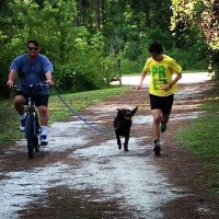 Robbie Harms (@harms__way) 's Twitter Profile