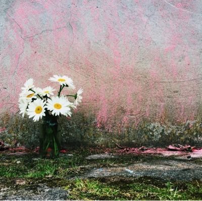 Jojo129Jojo's profile picture. 