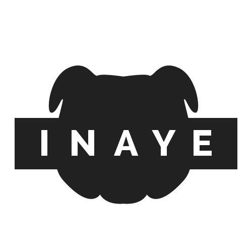 Insta- in.aye YouTube Channel- inaye #inaye