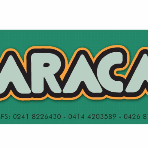 festi_araca's profile picture. 