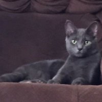 Oscar (@jimmyboswell666) 's Twitter Profile