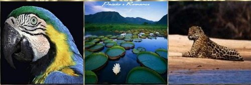 du_cacete's profile picture. 