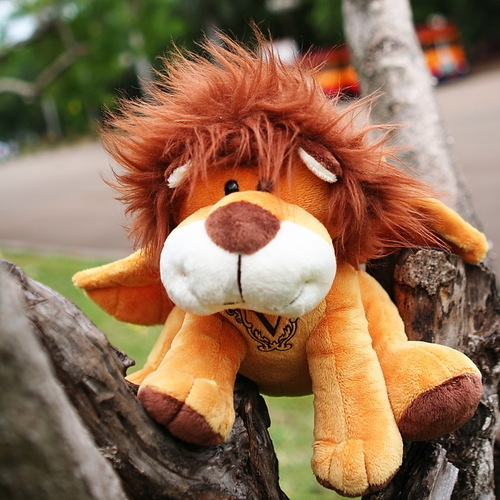 si_fleo's profile picture. A flying Leo who still trying to reach the stars...