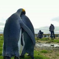 Angulus Terrarum (@angulusterrarum) 's Twitter Profile Photo Angulus Terrarum (@angulusterrarum) 's Twitter Profile Photo