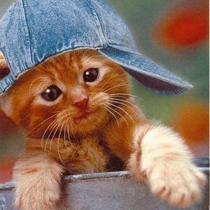 getoutKIKOO123's profile picture. Bonjour je suis un gamer de la PS4 si tu veux m'ajouter.....PSN kyrian13200 sans majuscule.......