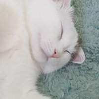Sam-a-tropolis (@sam_a_tropolis) 's Twitter Profile