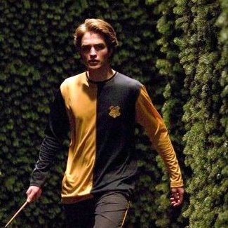 _Cedric_Diggory's profile picture. Cedric Diggory || 24 ans || Poufsouffle || Plutôt à l'aise avec un balais,sauf pour le ménage || Voldemort et son rat m'ont eu par suprise,sinon je l'aurais eu.