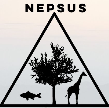 NEPSUS Profile