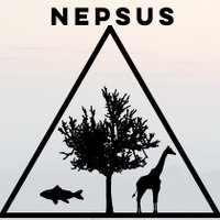 NEPSUS(@nepsus_research) 's Twitter Profile Photo
