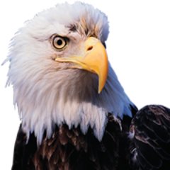 Family-owned and -operated, Eagle America is “The World’s Router Bit Source” and the producer of the #1 Quality Router Bit Made in the USA!