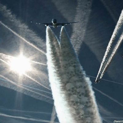 @StravolgimentoDelGiudizioSullaRealtà #DeliriumChemicalSky