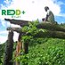 REDD+ Fiji (@reddplus_fj) Twitter profile photo REDD+ Fiji (@reddplus_fj) Twitter profile photo