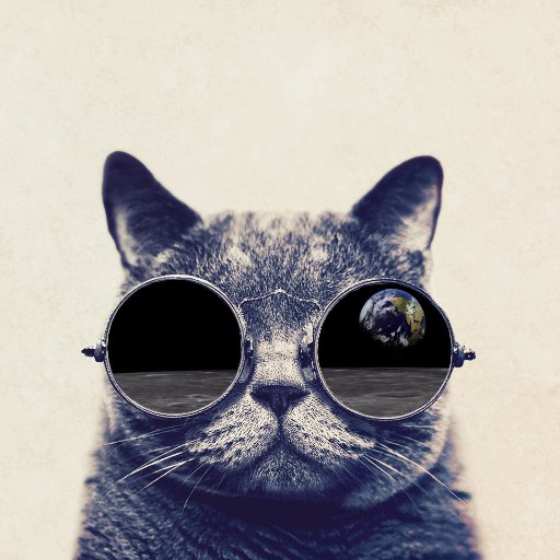 estelescriba's profile picture. 