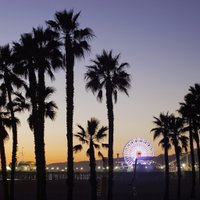 Jason McGahan (@jasonmcgahan) 's Twitter Profile