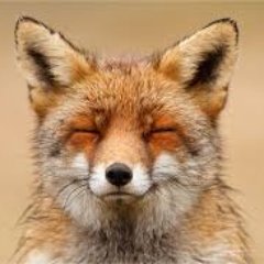 Abhi_twits's profile picture. Aapka Apna..