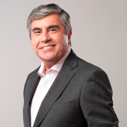 Alcalde de Vicuña, 2012-2020