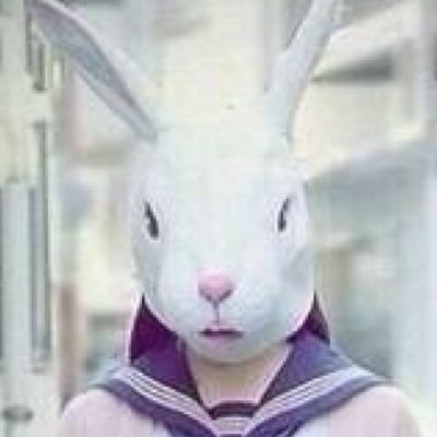 メリノさんのプロフィール画像