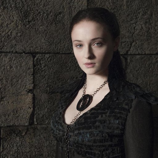 Even the brightest lights go dark. Not all Starks are Dire Wolves, some are just wolves. #GoTRP #21+ #DarkSansa
