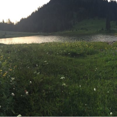 BitchPr63765508's profile picture. hi