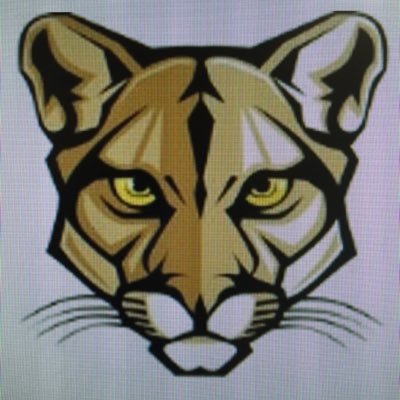 chmsclimb's profile picture. 