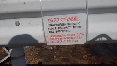 OssanBNDryo's profile picture. 魚太郎